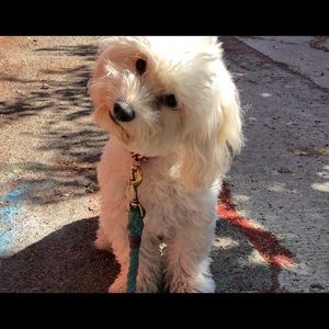 Meet your Posher, Kendall